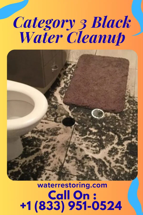 Category 3 Black Water Cleanup in Hollow Creek, KY