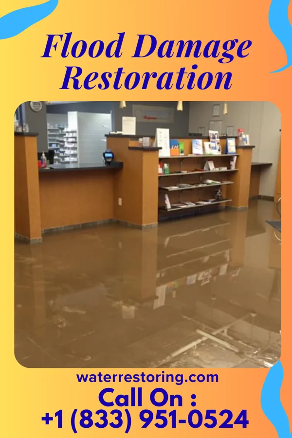 Flood Damage Restoration in Hollow Creek, KY