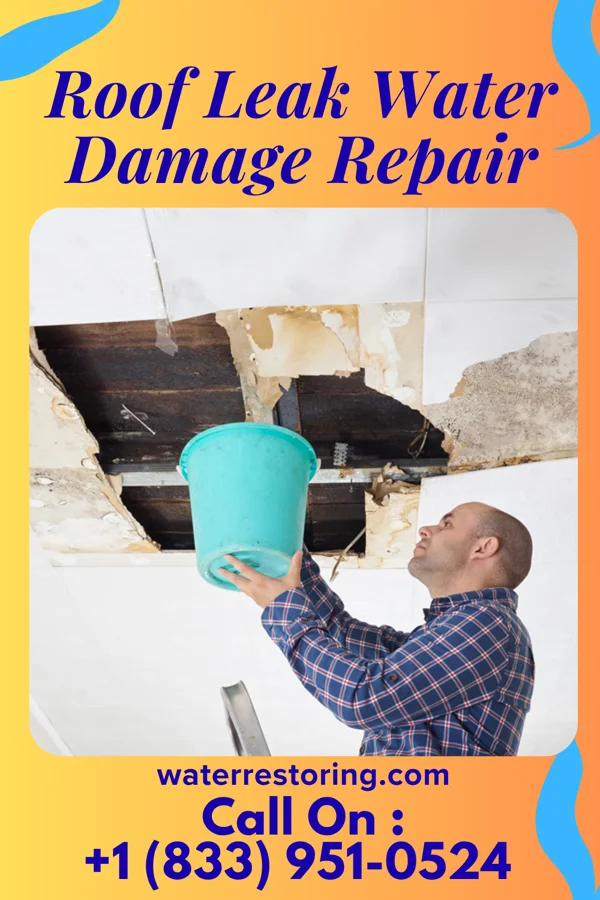 Roof Leak Water Damage Repair in Hollow Creek, KY